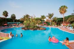 Green Oasis Apartments swimming pool photograph